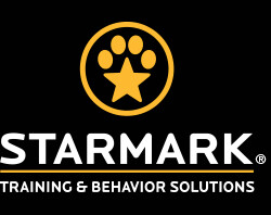 Jouer, apprendre, explorer : avec Starmark, offrez à votre chien des heures de divertissement intelligent. Durable, ludique, éducatif.