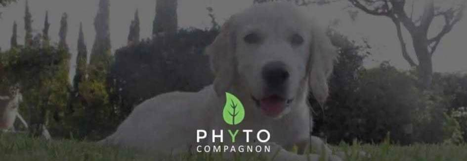 Santé au naturel : Phyto Compagnon utilise la puissance de la phytothérapie et de la gemmothérapie pour le bien-être de vos compagnons à quatre pattes.
