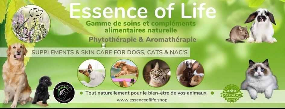 Harmonie et bien-être naturels pour vos animaux avec Essence Of Life. Des soins élaborés en Belgique, inspirés par la nature